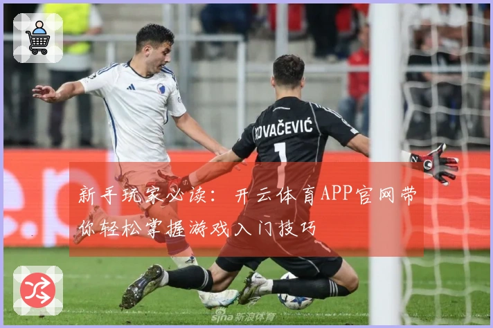 新手玩家必读：开云体育APP官网带你轻松掌握游戏入门技巧