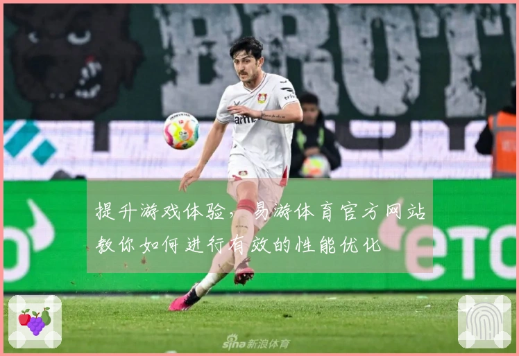 提升游戏体验，易游体育官方网站教你如何进行有效的性能优化