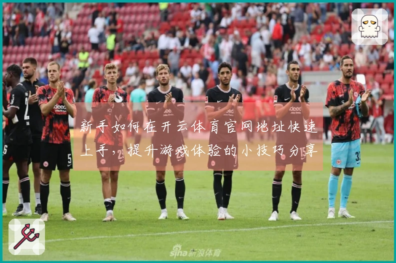 新手如何在开云体育官网地址快速上手，提升游戏体验的小技巧分享