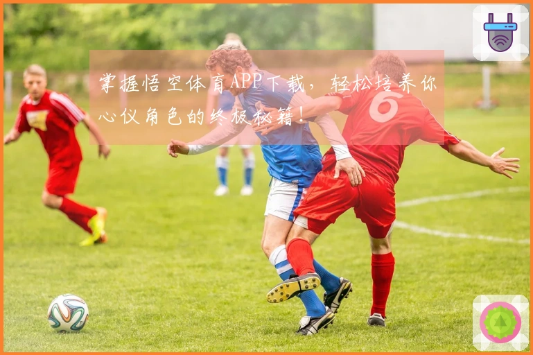 掌握悟空体育APP下载，轻松培养你心仪角色的终极秘籍！